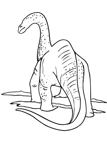 Apatosaurus Dinosaur Coloring Page